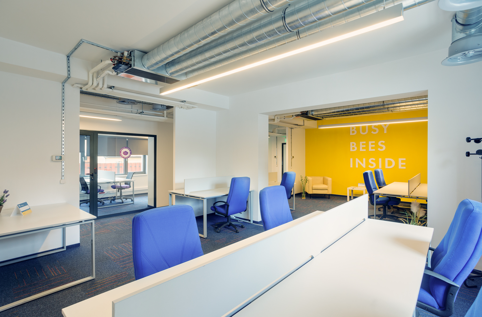 Beerow - Romania - Cluj-Napoca