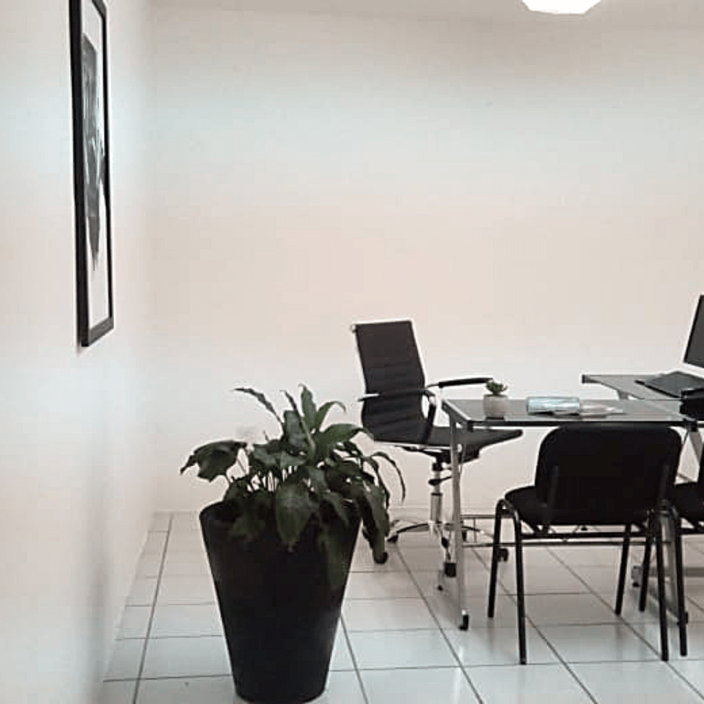 Lanister Centro de Negocios - Las Rosas