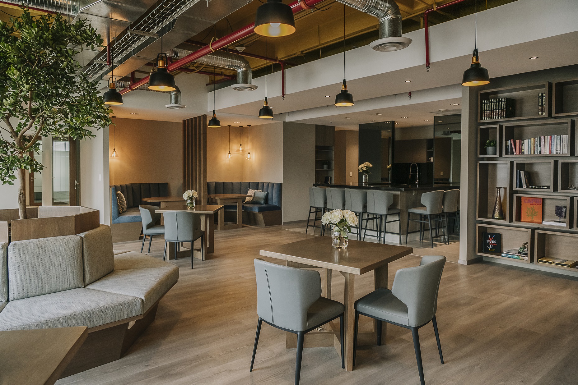 Circulo Almena  - Mexico - Mexico City