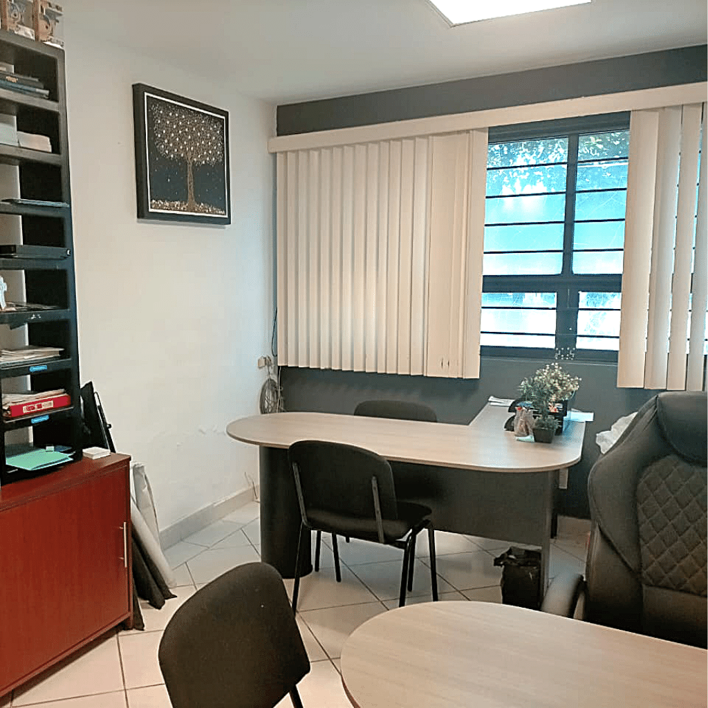 Lanister Centro de Negocios - Chapalita