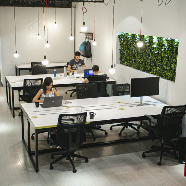 Working&Co Loyola - Villa Crespo